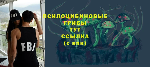 дживик Алексин