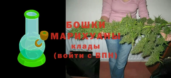 хмурый Анива