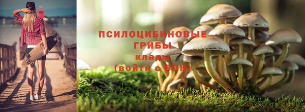 соль курить ск Алзамай